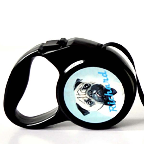 Medium Retractable Pet Leash Thumbnail