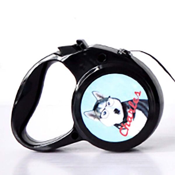 Small Retractable Pet Leash Thumbnail